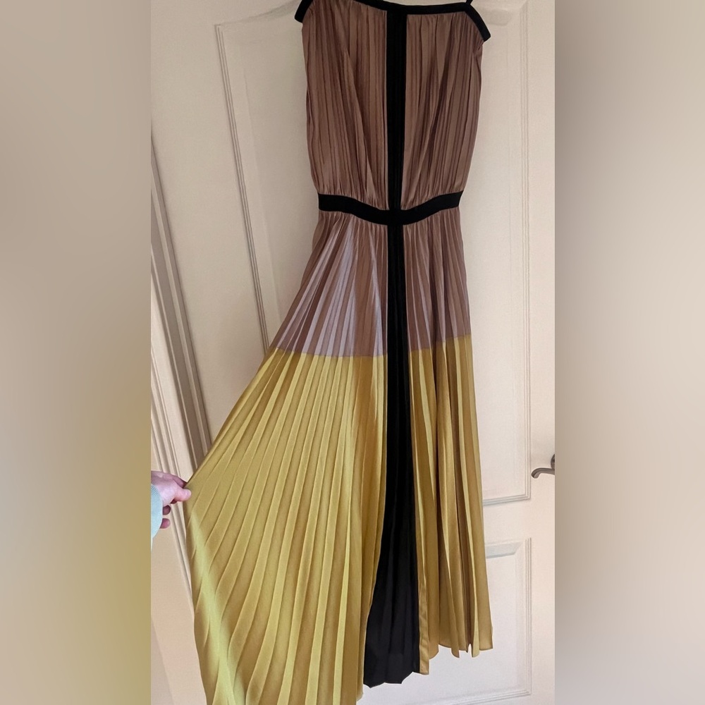 BCBG MaxAzria LILYAN Colorblock
maxi pleated dress - Picture 4 of 11